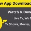 What Are the advantages & Disadvantages Of Downloading PicaShow APK Directly